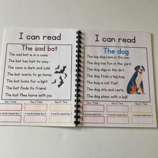 Beginning Reader Fluency Stories: Fun Practice Stories for Kindergarten & 1st Grade
