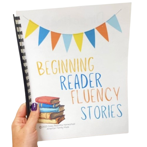 Beginning Reader Fluency Stories: Fun Practice Stories for Kindergarten & 1st Grade